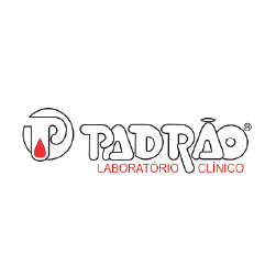 padrão site